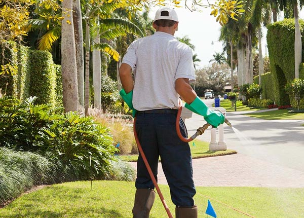 About North Lawrence NY Pest Control